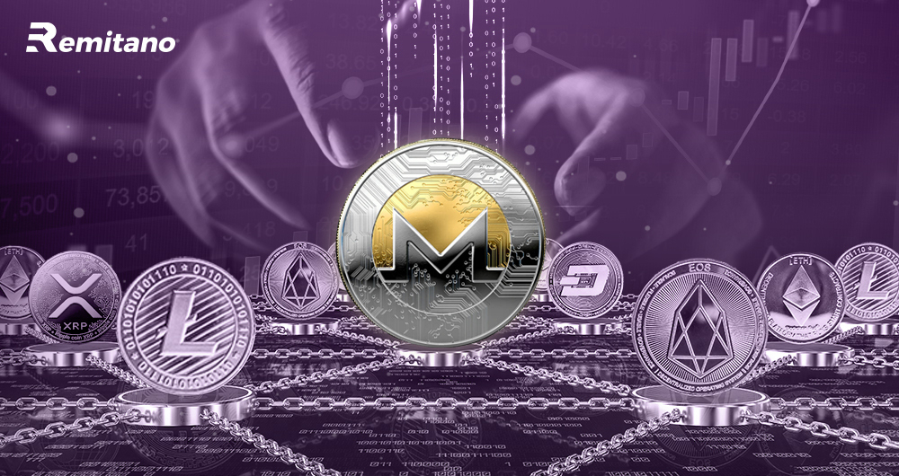 Monero token allocation