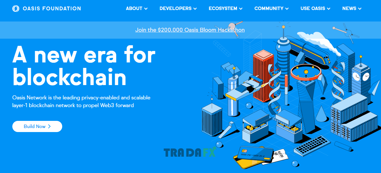 Oasis Network Features