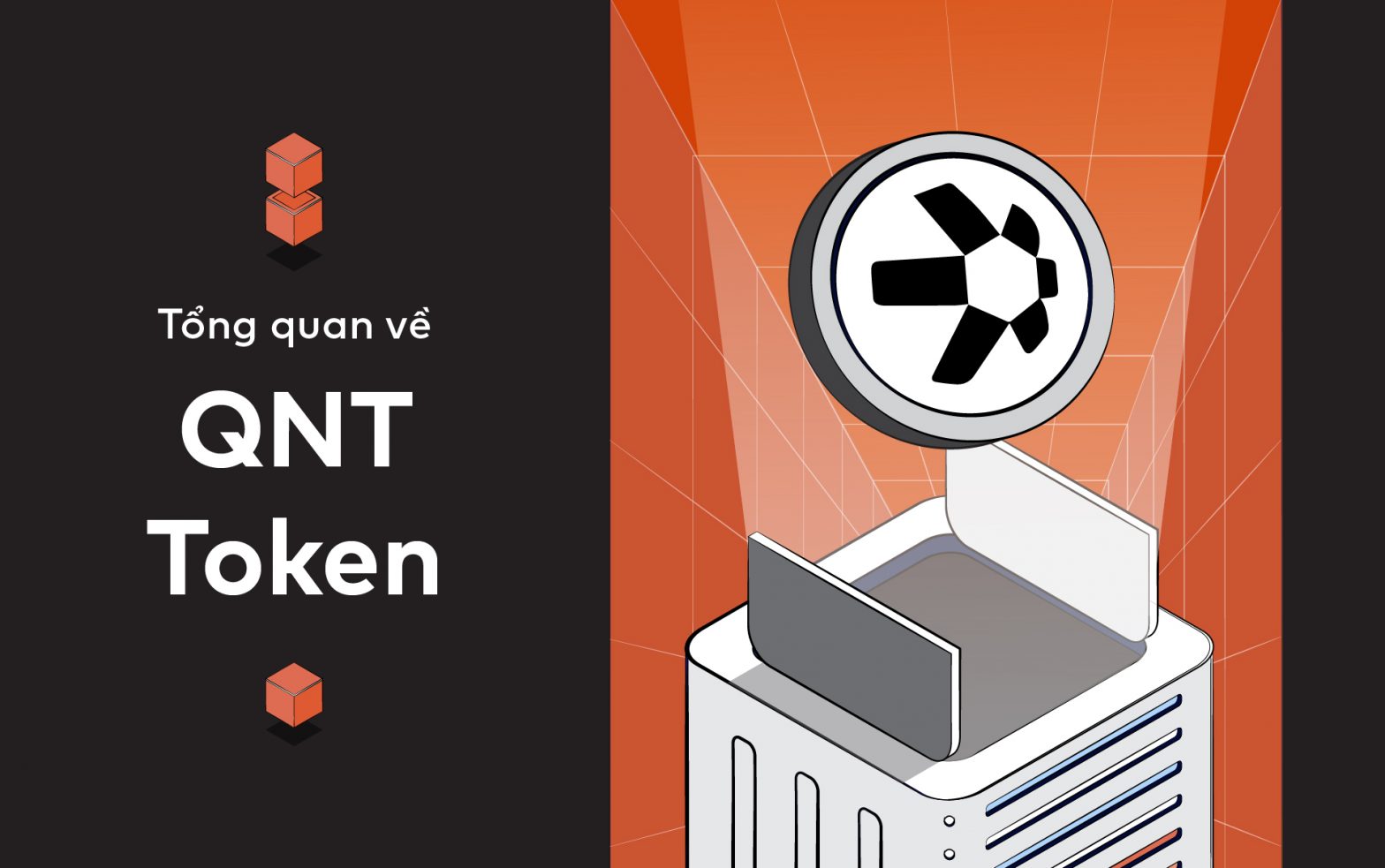 Hình Ảnh Phân Phối Token