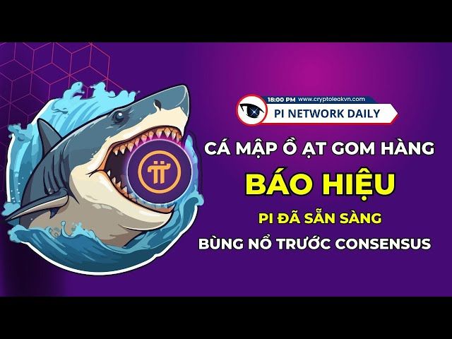 Hình ảnh về dự án NFT trên Solana