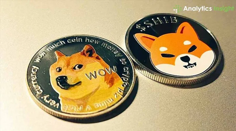 Hình ảnh Dogecoin và so sánh lợi nhuận năm 2024